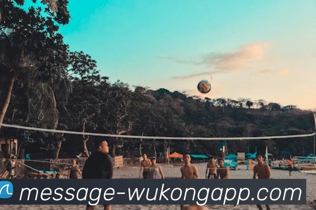 悟空体育平台生态图