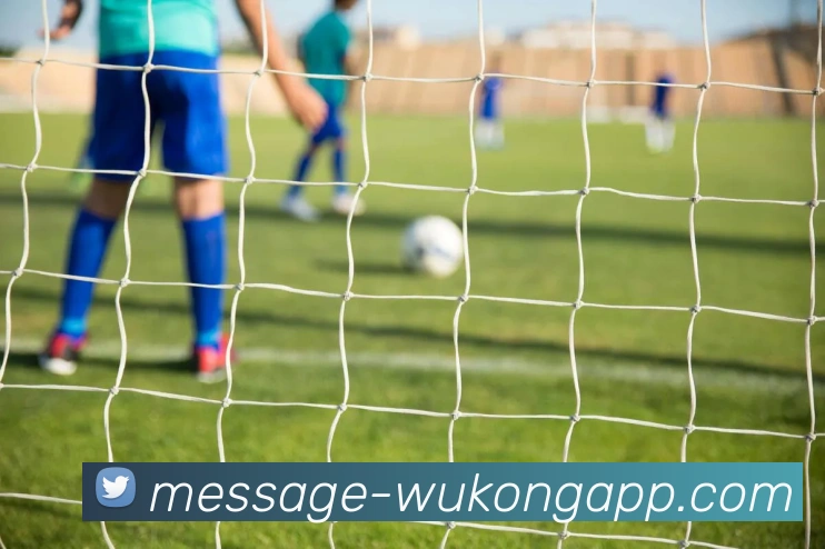 悟空体育APP 封面图